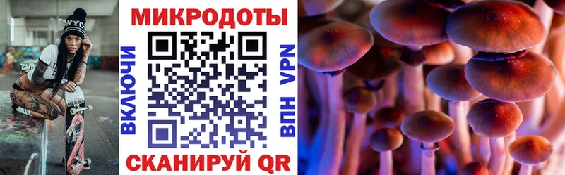 Псилоцибиновые грибы мицелий Уржум