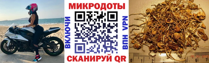 Псилоцибиновые грибы Magic Shrooms  Купить  Уржум 
